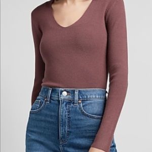 NWT Express V-Neck Sweater